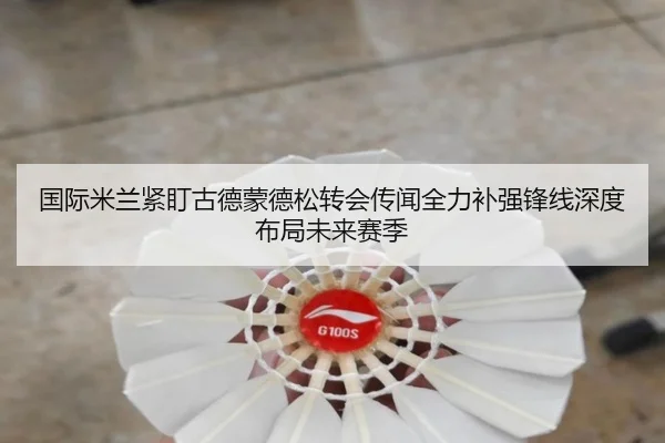国际米兰紧盯古德蒙德松转会传闻全力补强锋线深度布局未来赛季